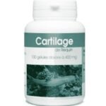 Gph Diffusion Cartilage de Requin – 100 Gélules