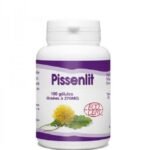 Gph Diffusion Pissenlit 100 Gélules