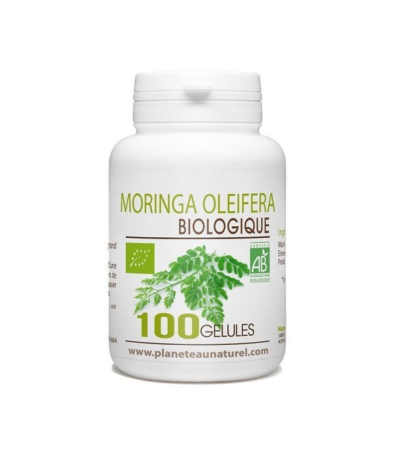 moringa-oleifera-bio-1-1.jpg