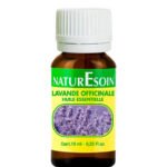 NATURESOIN HUILE ESSENTIELLE DE LAVANDE 10ML