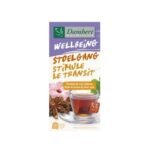 DAMHERT TISANE STIMULE LE TRANSIT B20 SACHETS