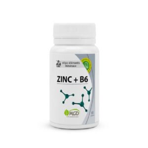 MGD ZINC + B6 B60 GELULES
