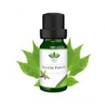 LOTUS BIO HUILE ESSENTIELLE MENTHE POIVREE 10ML