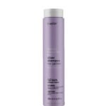 ERAYBA SILVER SHAMPOOING NO YELLOW 250ML