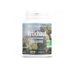GPH ARTICHAUT BIO 400MG B120 COMP