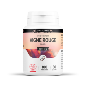 GPH VIGNE ROUGE BIO 250MG B100 GELULES