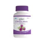 SPIRIT CHARDON MARIE EXTRA FORT B60